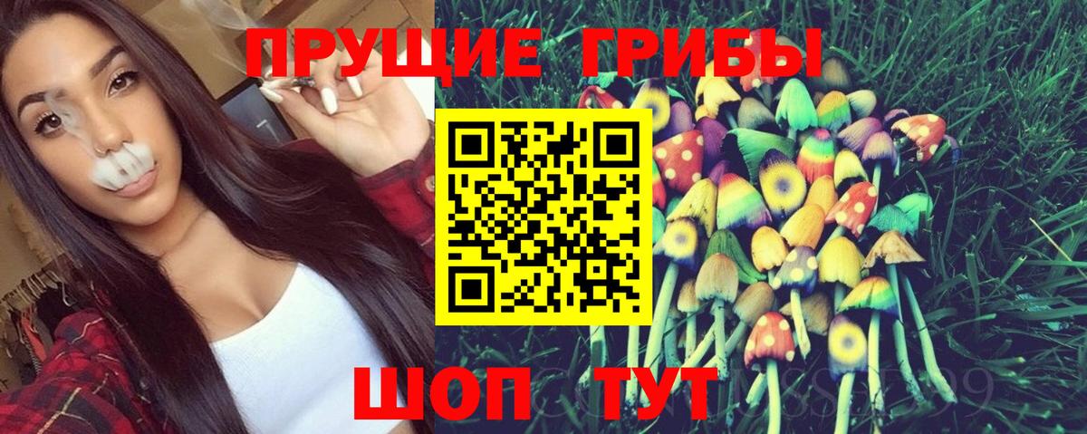 Шебекино  Галлюциногенные грибы ЛСД  Вход с VPN 