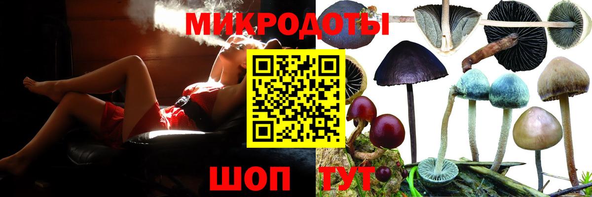 Галлюциногенные грибы мухоморы Шебекино